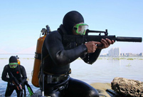 Chinese Navy frogmen in training: photos