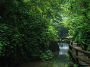 Picturesque Qingcheng Mountain