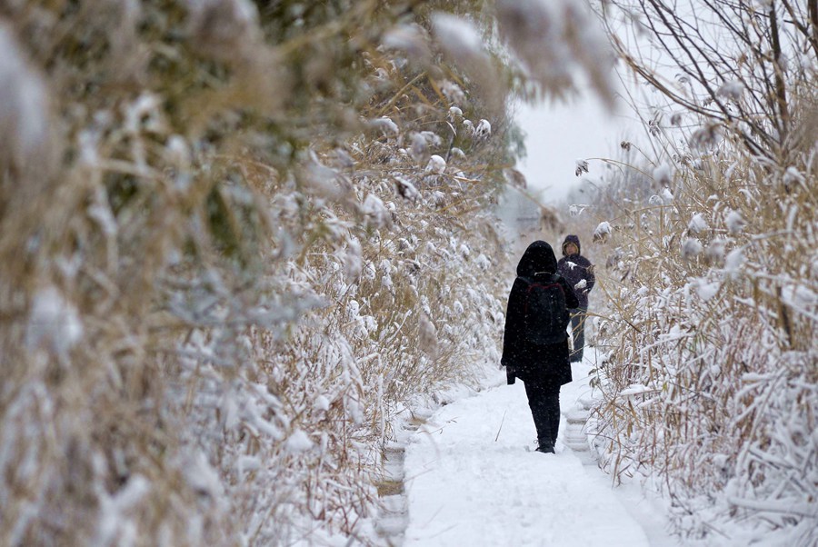 Beijing Wild Duck Lake: Heavenly wetland for birds