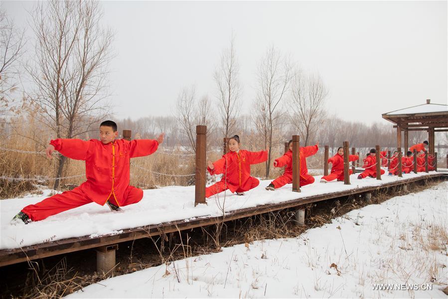 People practice Taichi in N China's Inner Mongolia