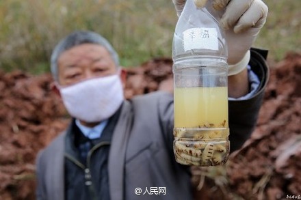 78 nests of termites dug out of reservoir in Sichuan
