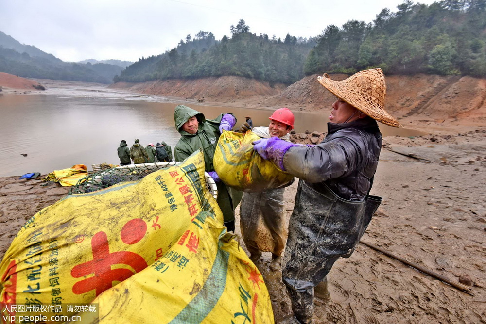 Farmers catch fish to celebrate Chinese New Year