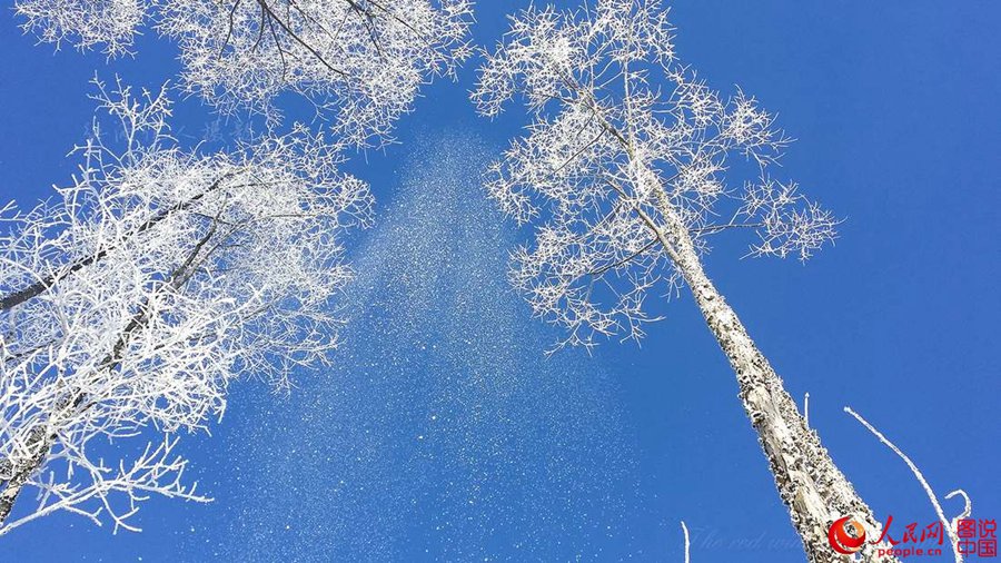 'Coldest town in China' — a fairyland you don't want to miss