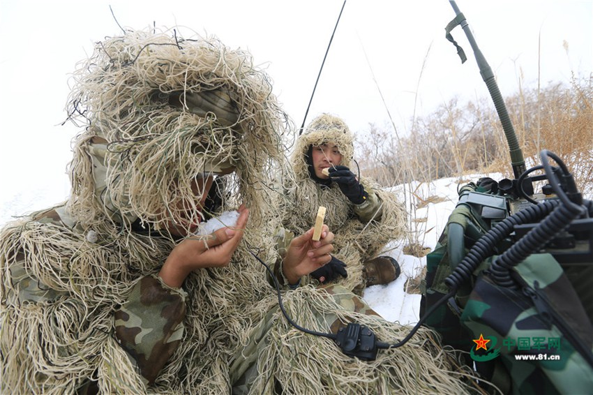 China's Marine Corps conducts collaborative drill in NW China