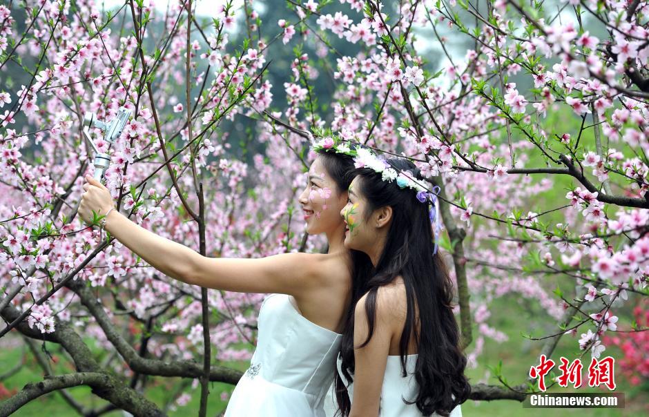 Pretty girls take selfies with flowers in full bloom