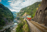 Train rides through blossoms