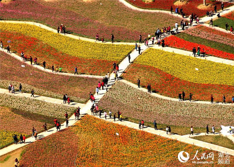 Visitors enjoy tulips blossom in C China