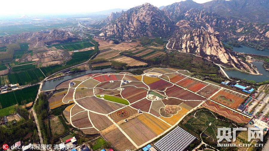 Breathtaking aerial photos of tulip blossoms in C China