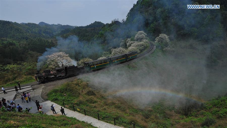 Steam train in SW China keeps operation, boosts tourism 