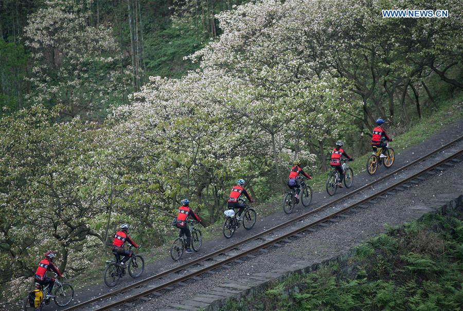 Steam train in SW China keeps operation, boosts tourism 