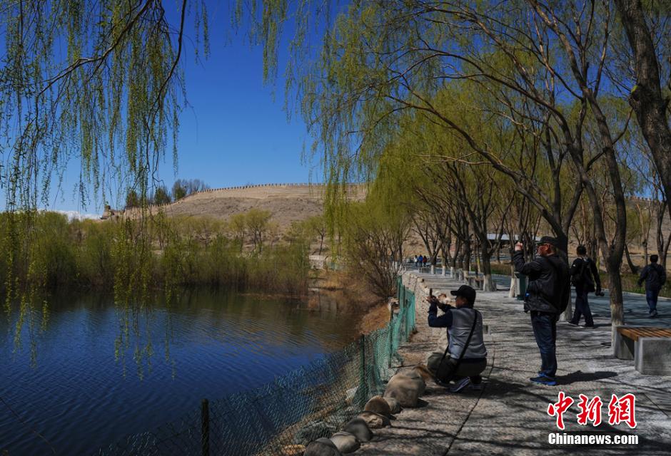 Soak in the spring scenery at Jiayuguan Pass