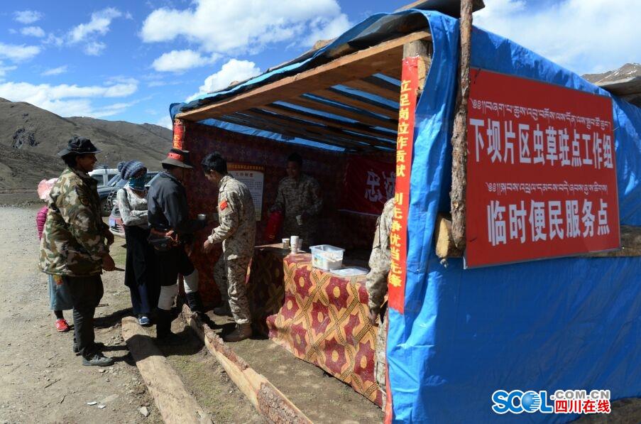 Cordyceps diggers camp out on Chinese plateau