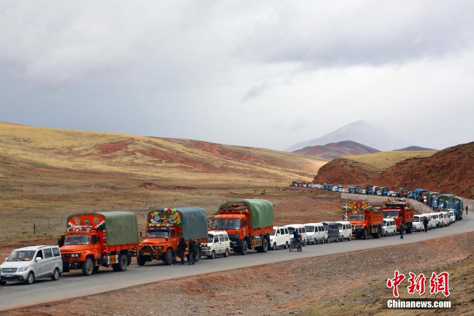 Cordyceps diggers camp out on Chinese plateau