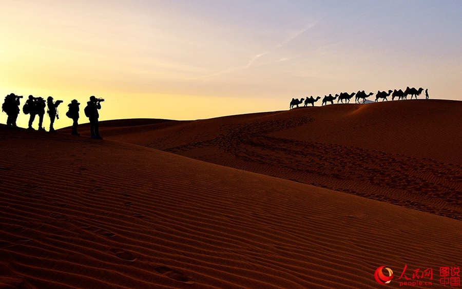 Serene desert view in Inner Mongolia