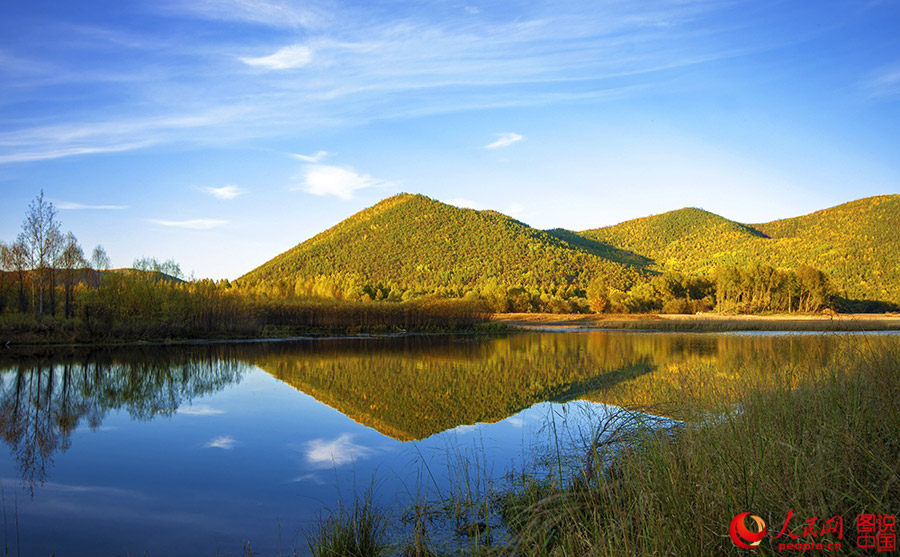 Beautiful autumn foliage around Greater Khingan Mountains