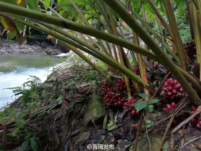 Yanfeng Mountain in Jingdong