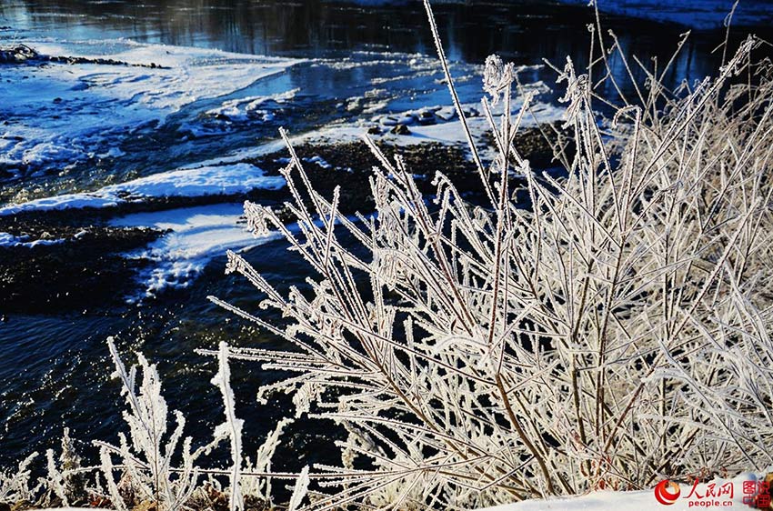 Morning frost in northeastern China