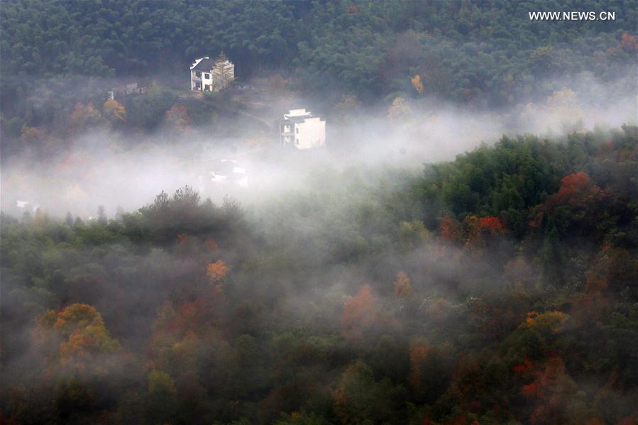 CHINA-ANHUI-HUANGSHAN-SCENERY (CN)