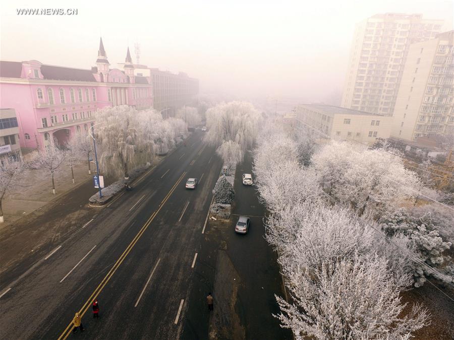 #CHINA-HEBEI-ZUNHUA-RIME (CN)