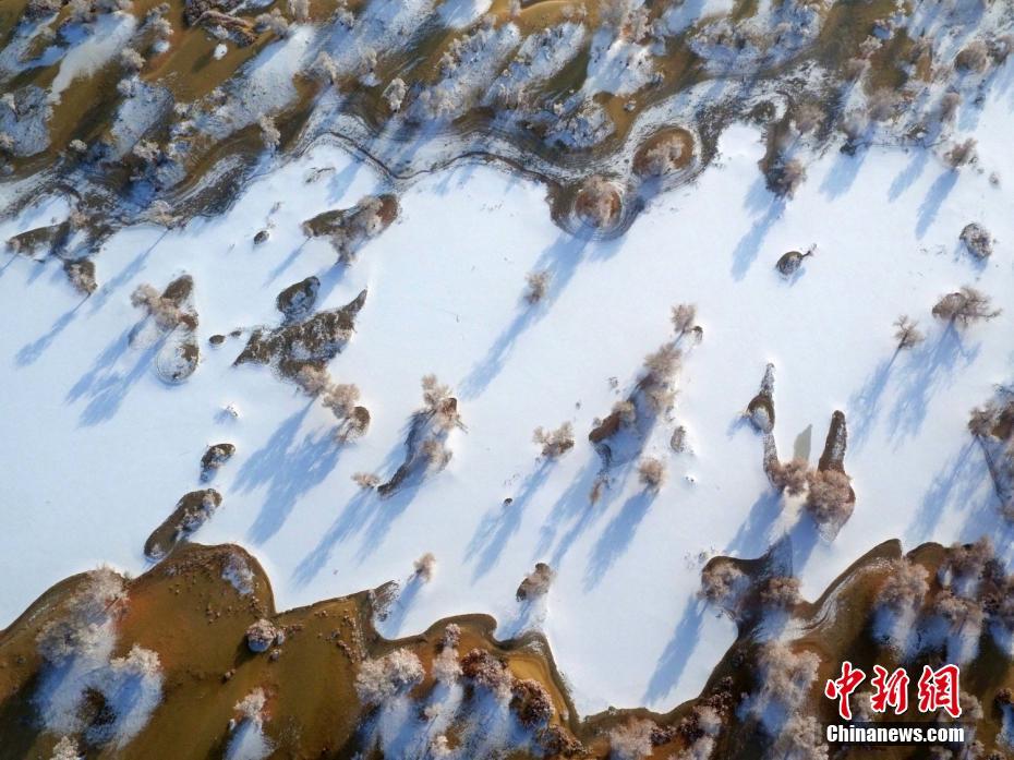 Splendid frost along Xinjiang's Tarim River