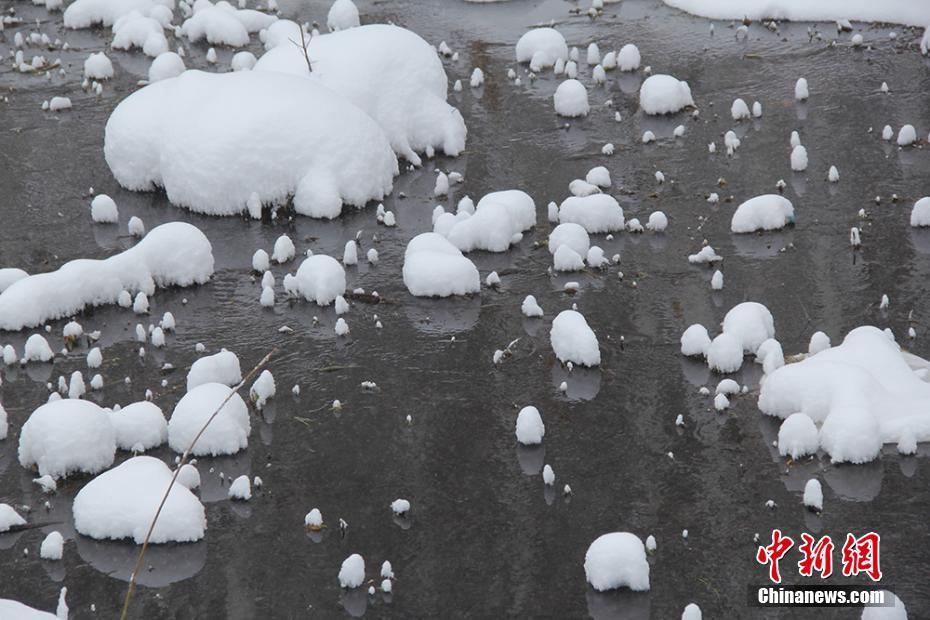 Thawed spring in Xinjiang