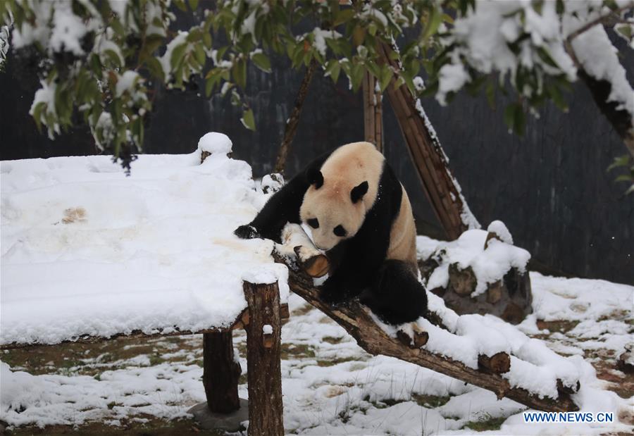 Snow scenery across China