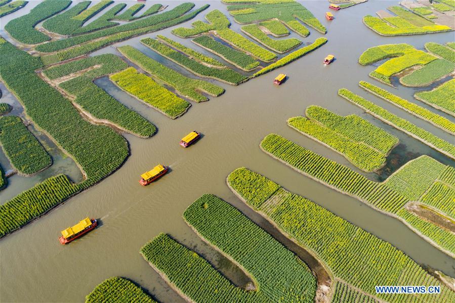 People enjoy scenery of early spring across China