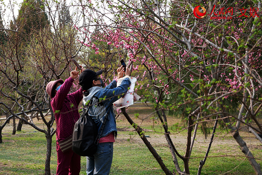 Beijing residents head to bookstores and parks as spring beckons