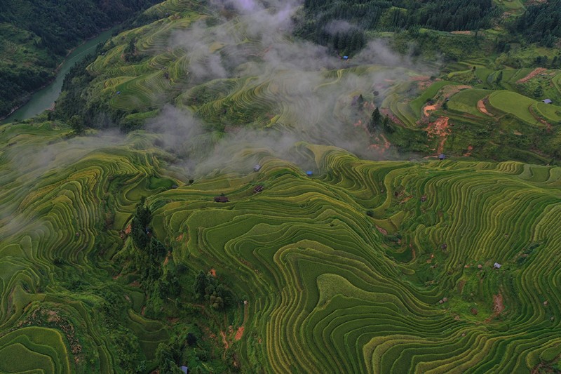 Miao village in SW China’s Guizhou Province becomes increasingly livable