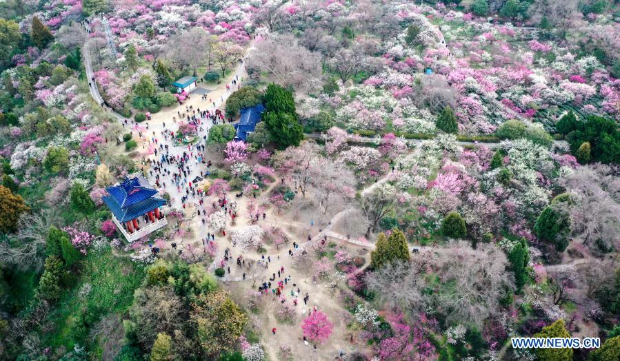 Meihuashan scenic area in Nanjing, Jiangsu