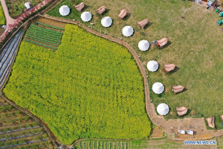 Spring scenery at Xiaohewan Village in Guizhou