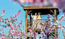 Tourists enjoy flowers at peach garden in Hebei