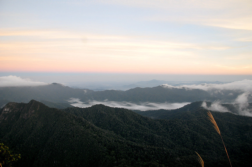 Pics: Mesmerizing tropical rainforest in Hainan