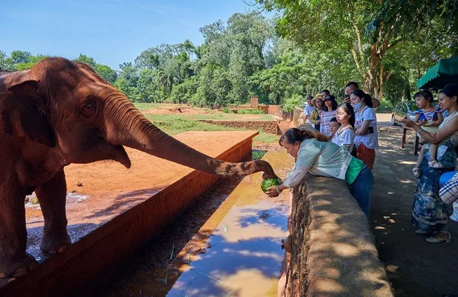 Hainan zoo helps keep animals cool in scorching summer