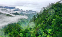 Scenery of Wuyishan National Park in Fujian