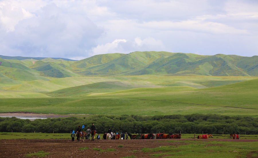 Beautiful scenery of horse breeding farm in Gansu