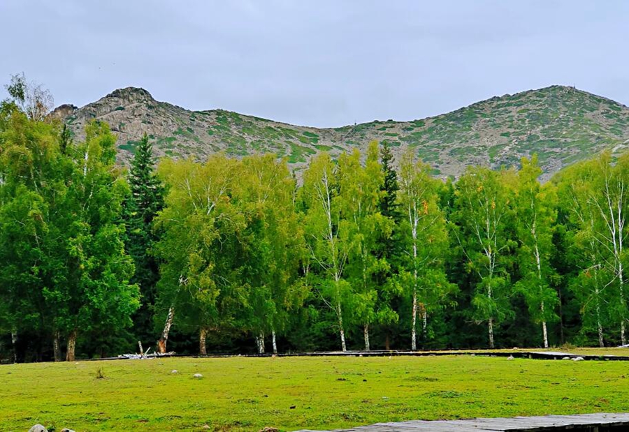 Explore fascinating autumnal vistas in NW China's Xinjiang