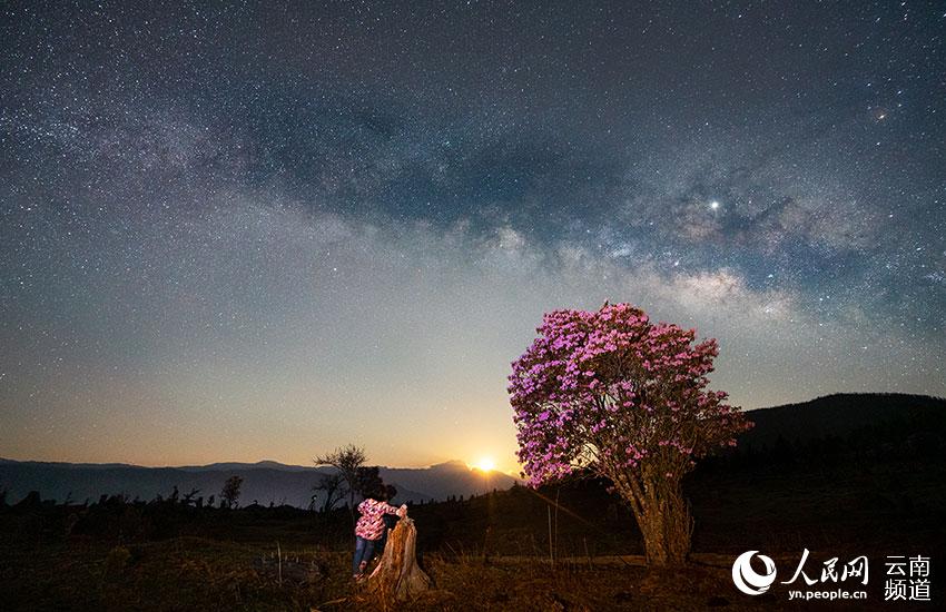 Azalea, one of eight well-known flowers in SW China’s Yunnan