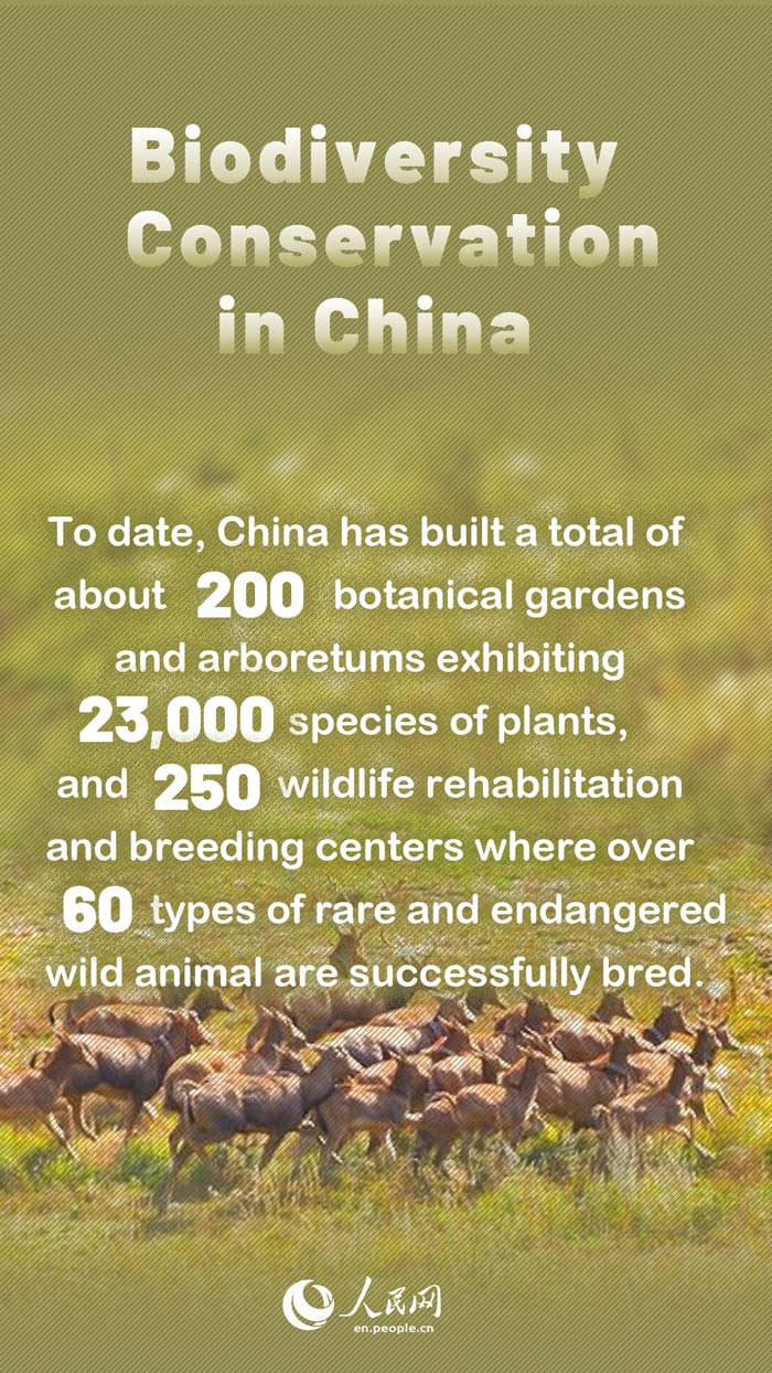 Highlights: Biodiversity Conservation in China