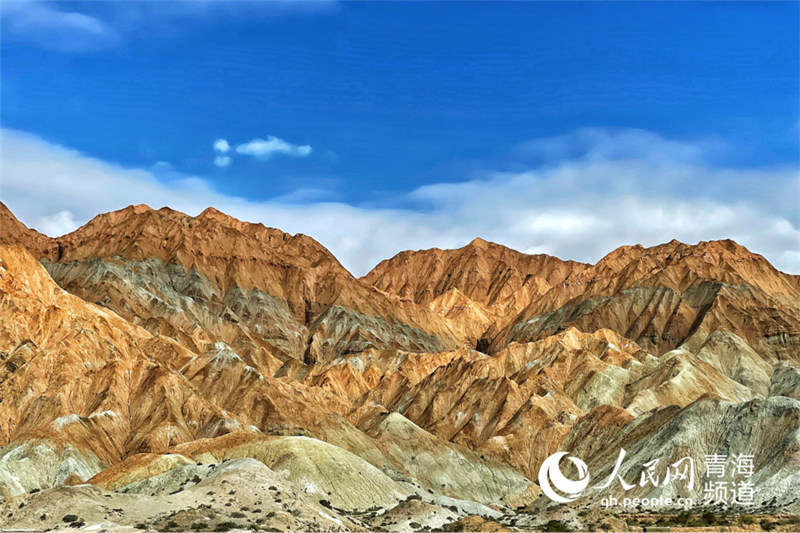 In pics: picturesque autumn scenery along Yellow River in NW China’s Qinghai