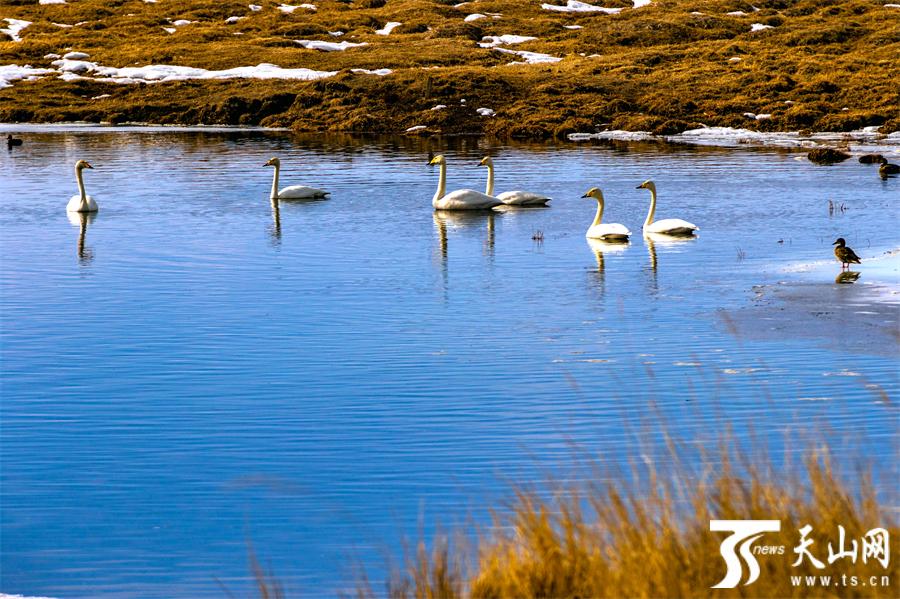 Enchanted winter scenery of Barkol, NW China's Xinjiang in early spring