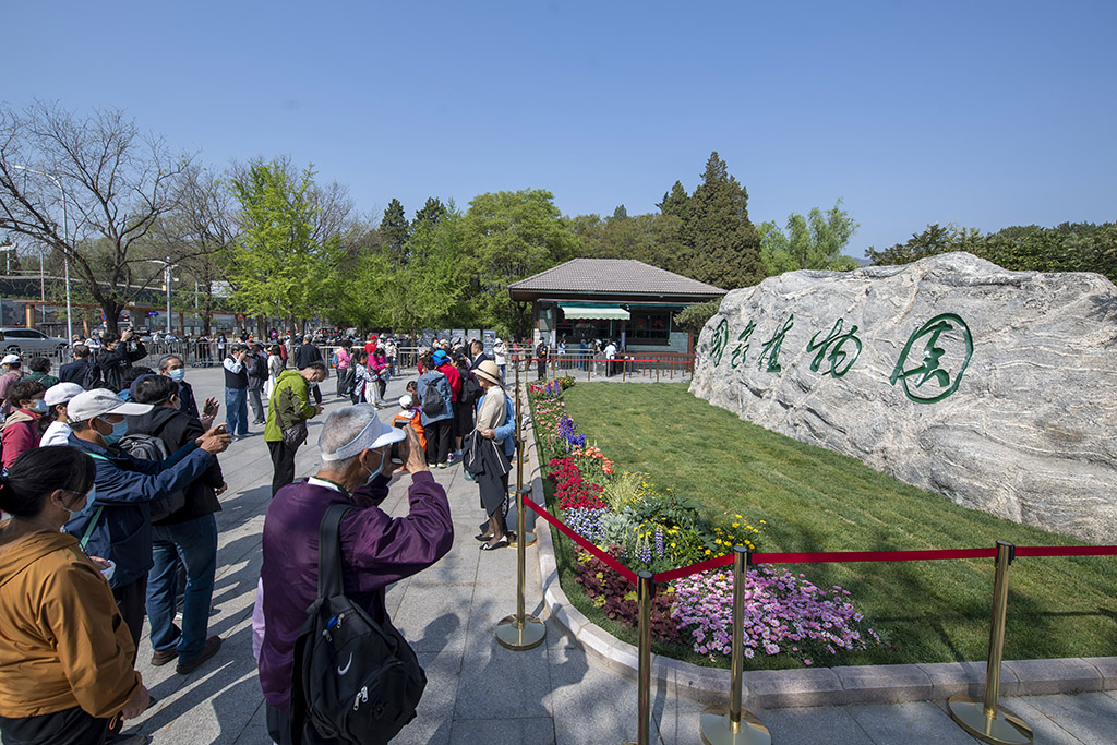 China National Botanical Garden in Beijing enters best time of year for admiring blooming flowers