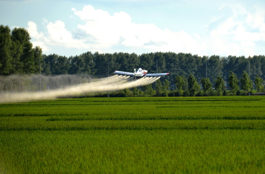 Beidahuang in NE China goes all out to manage crops in hopes of a bumper harvest