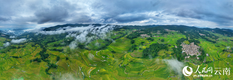 Thousand-year-old terraced fields appear like emeralds dotting mountains in SW China's Yunnan