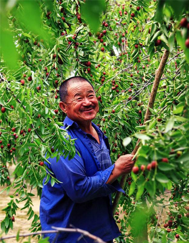 Bumper harvests bring big smiles to farmers across China