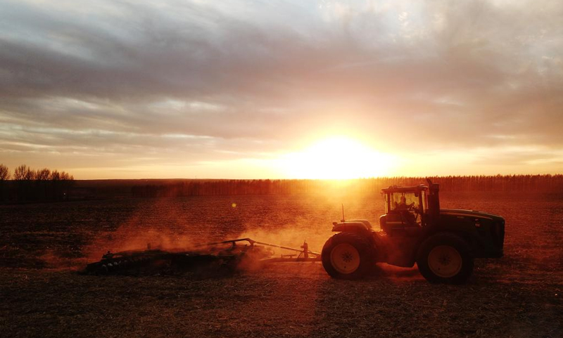 View of autumn harvest in Bei'an, northeast China