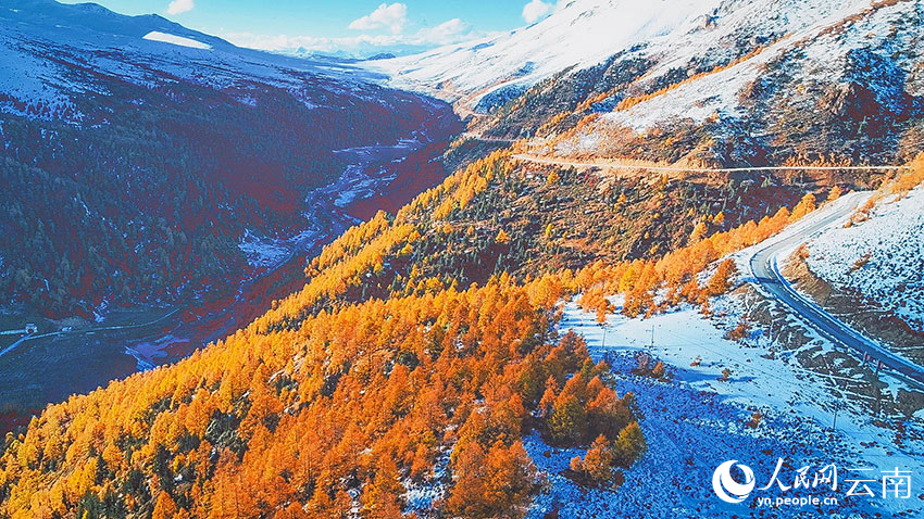 Baima Snow Mountain in SW China's Yunnan sees first snowfall in autumn