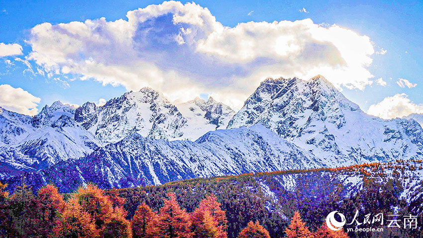 Baima Snow Mountain in SW China's Yunnan sees first snowfall in autumn