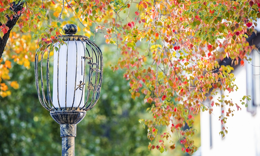 Colorful autumn scenery in Nanjing, E China