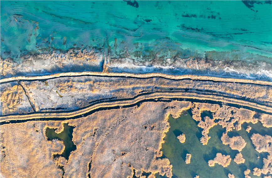 Gorgeous early winter views of Bostan Lake National Wetland Park in China's Xinjiang